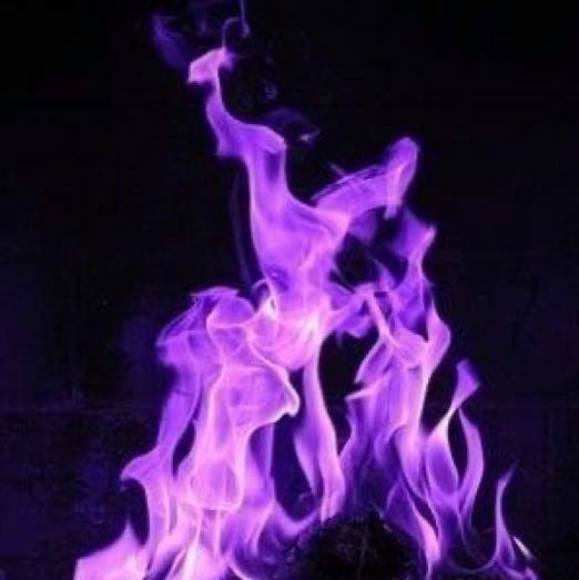 phoenixreynolds